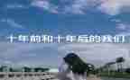十年来的工作总结7篇