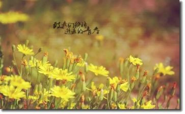 十七岁的演讲稿7篇
