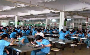2024年食堂个人述职报告5篇
