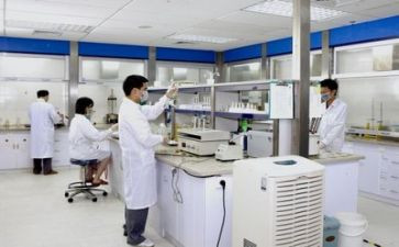 写实验的优秀作文通用6篇