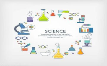 作文写实验的作文5篇