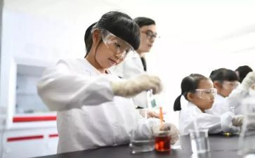 写实验的优秀作文精选8篇