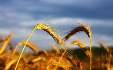 培训收获与心得参考5篇