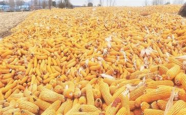 培训收获与心得精选5篇