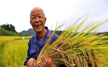 英语收获的作文7篇