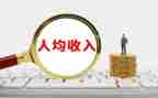 收入情况的调查报告8篇