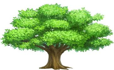 植树活动方案最新5篇
