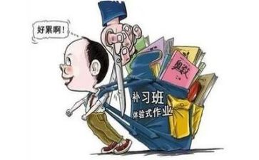 关于双减的心得体会6篇
