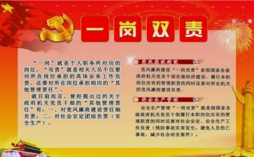 2024年履行一岗双责工作总结6篇