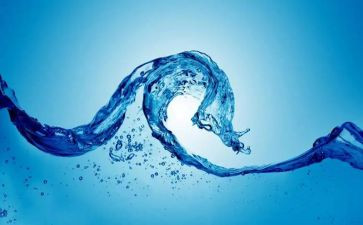 水的调查报告作文5篇