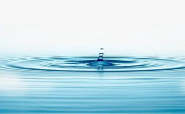 水利站述职述廉报告8篇