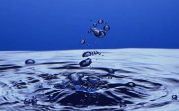 水果店的市场调查报告8篇