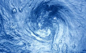 水果市场的调查报告5篇