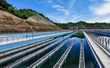 2024年污水处理厂年度总结6篇