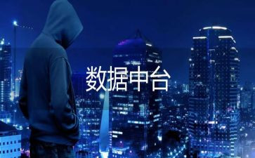 数据文员的工作总结6篇