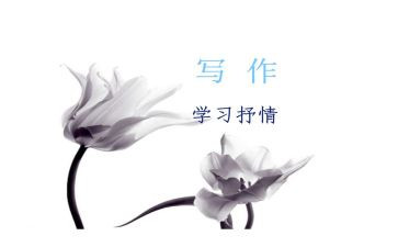 抒情的作文600字参考8篇