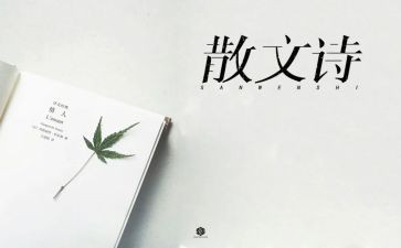 写抒情的作文优秀8篇