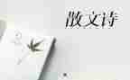 写抒情的作文优秀8篇