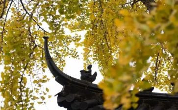 寺管干部工作总结优质8篇