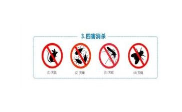 除四害工作计划推荐6篇