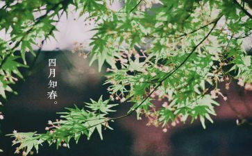 小班四月工作计划优质7篇
