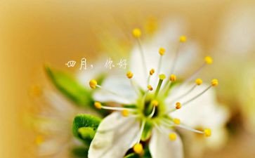 人间四月天的教案8篇