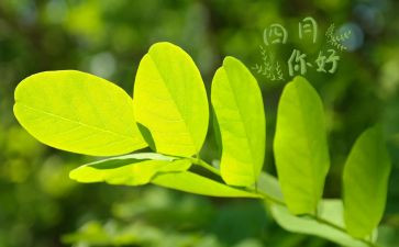 学生会四月工作总结优秀6篇