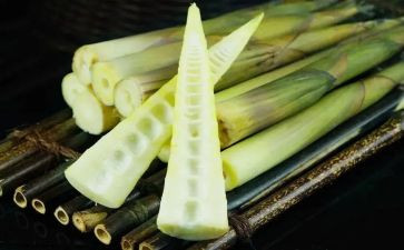 摘竹笋的作文参考5篇