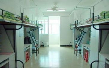 宿舍会工作总结优质7篇