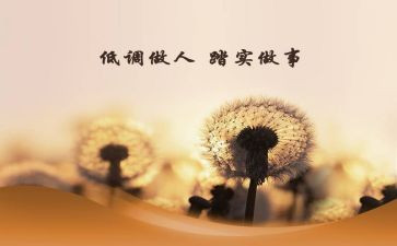 仰望星空与脚踏实地高考作文7篇