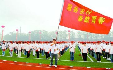 特岗教师个人年度工作总结6篇