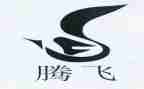 腾飞吧中国作文5篇