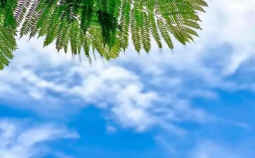 天气预报教案推荐7篇