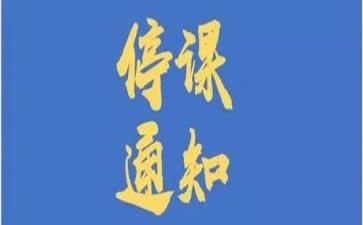 停课不停学上网课心得体会6篇