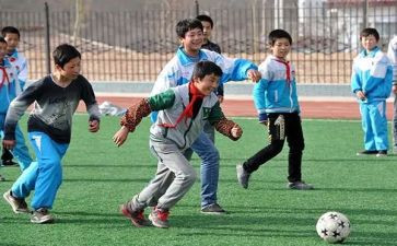 幼儿体育活动总结6篇