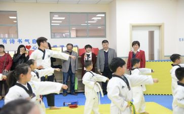 小学团工作总结8篇