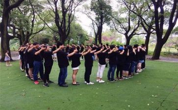 团建的活动方案6篇