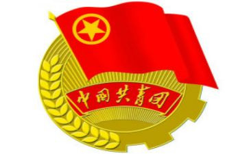 在团委工作的心得体会5篇