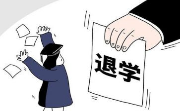 退学申请书最新6篇