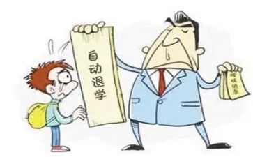 大学生申请退学申请书5篇