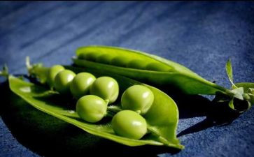 《豌豆公主》读后感7篇