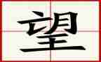 我希望的读后感7篇