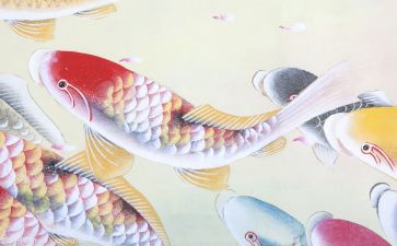 文化的作文600字精选5篇