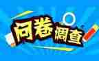 315问卷调查报告7篇