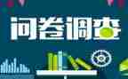 的小问卷调查报告5篇
