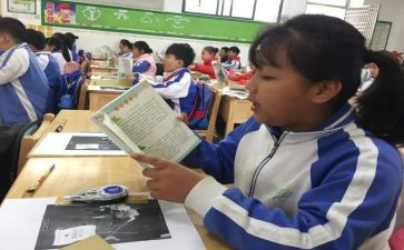 听小学语文课心得体会模板5篇
