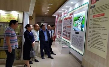 小学语文培训总结8篇
