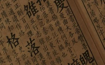 文学书读后感优秀6篇