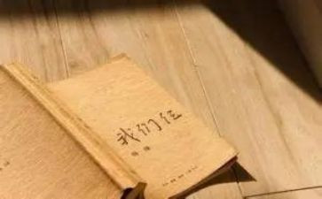 我们仨的读后感1000字5篇