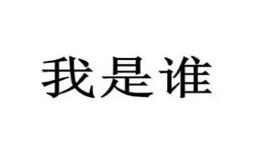 我是谁工作总结5篇